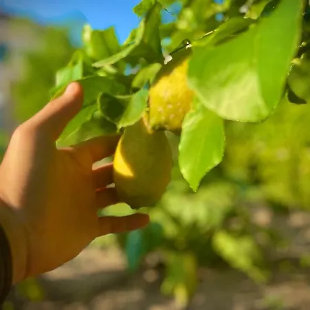L'antica Pietra Casa Salento Сasa de vacaciones Poggiardo